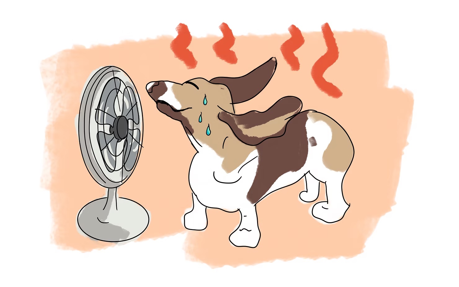 Read more about the article Quelques idées contre la canicule