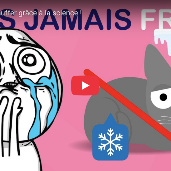 Slowheat raconté par Chat Sceptique