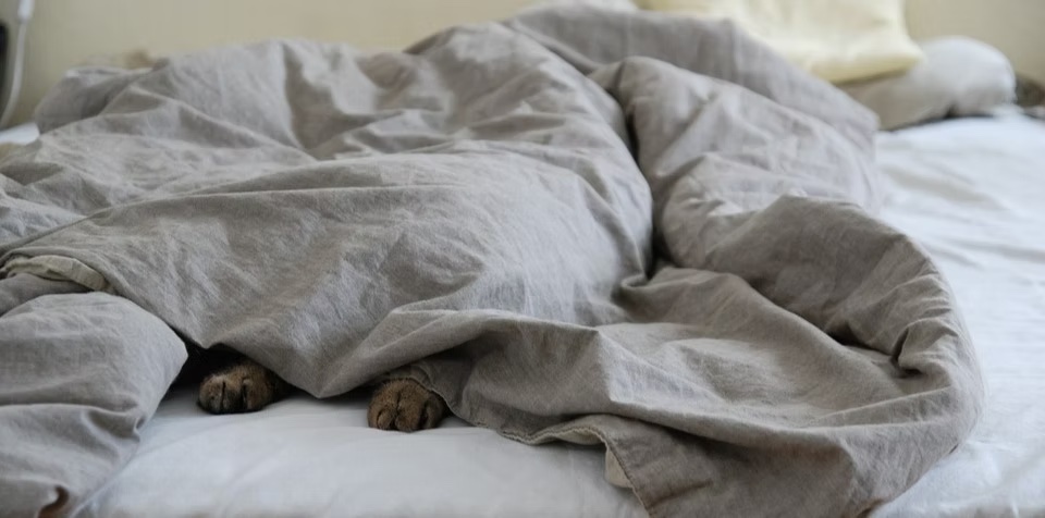 Read more about the article Avoir chaud quand on va au lit